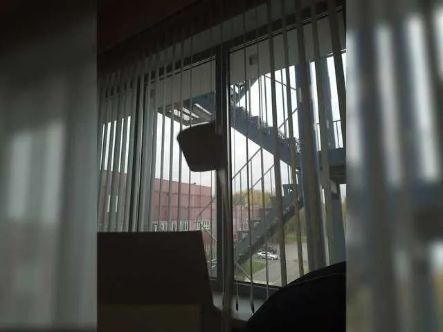 Offline LagoonJoy on BongaCams