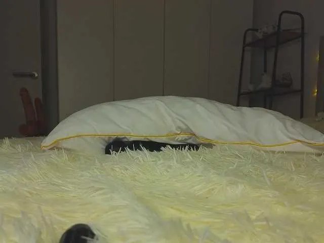 Offline lili-roze on BongaCams