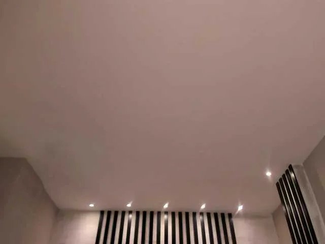 Offline ScarlettBoss on BongaCams