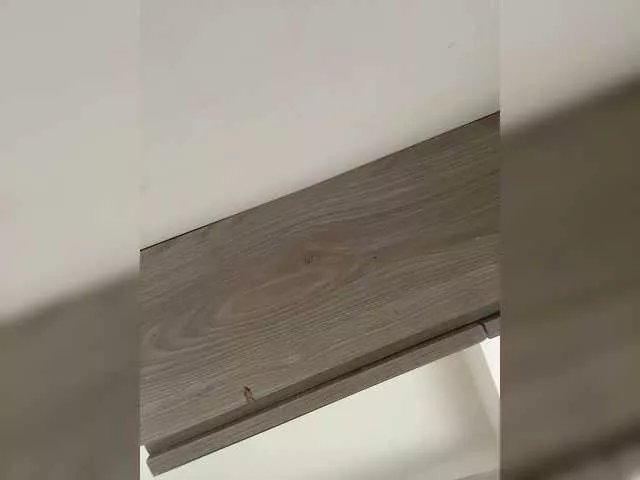 Offline TinyRouse on BongaCams