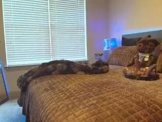 Offline jadacream on CamSoda