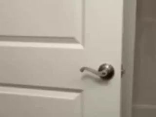 Freechat lesjuschill on CamSoda