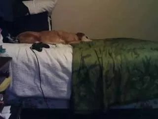 Freechat lesjuschill on CamSoda