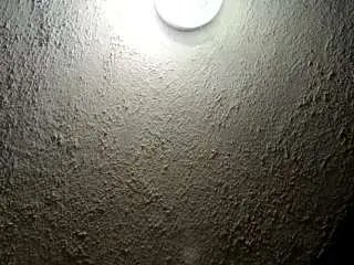 Offline palelaram on CamSoda