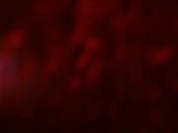 Freechat kloelamaravilla18 on Chaturbate