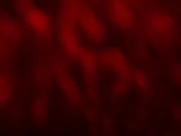 Freechat kloelamaravilla18 on Chaturbate