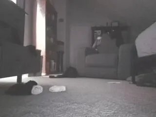 Offline andy_riles on Flirt4Free