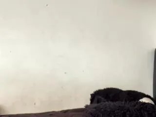 Freechat oliver_terry on Flirt4Free