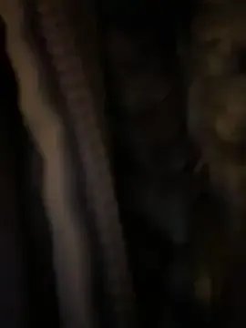 Freechat bambi_lu on StripChat