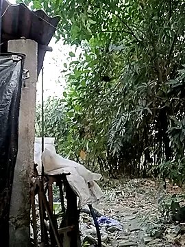 Private Hotty-rosni on StripChat